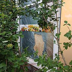 Glasnotdienst Fenster Leipzig - Reparaturverglasung Leipzig